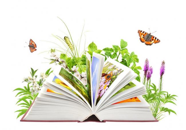 函授本科的學位證有什么作用？