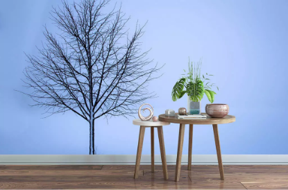 怎么查詢2018年福建成人高考的成績?