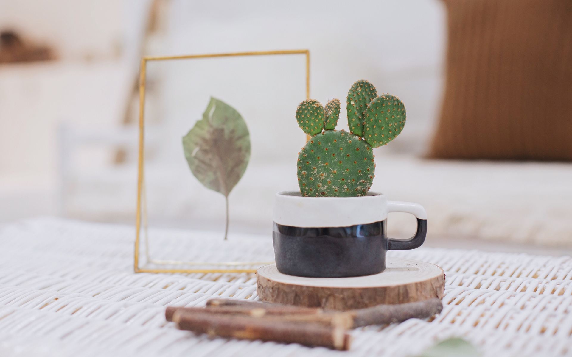 福建成人高考 分數線