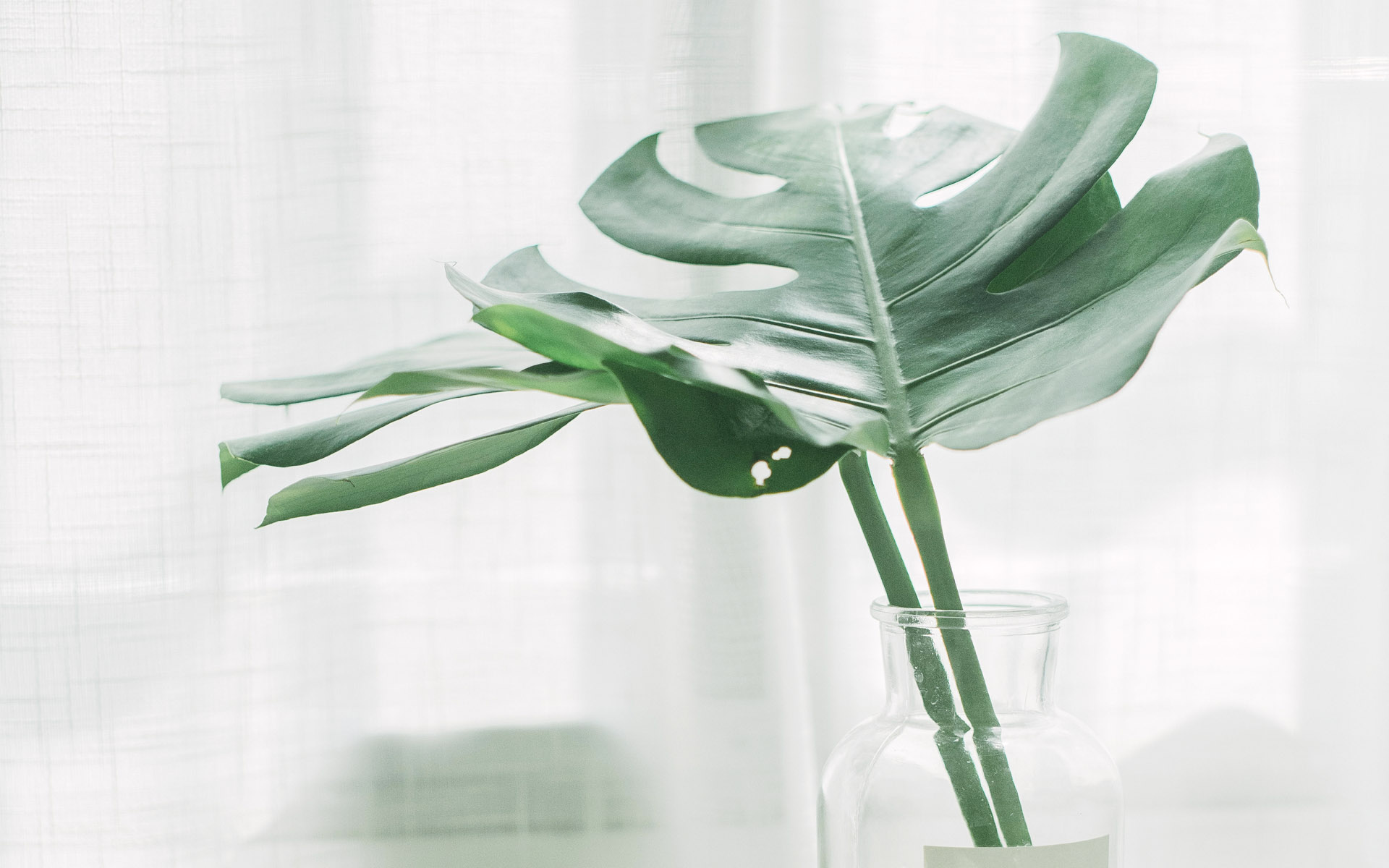 成人高考 沒有被錄取