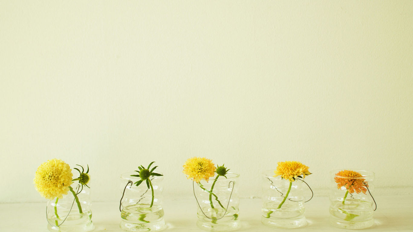 福建成人高考 分數(shù)線沒過