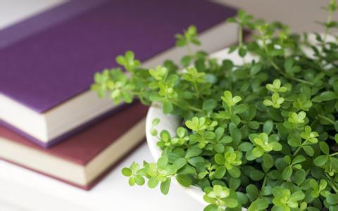 成人高考錄取 畢業