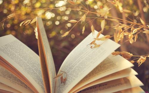 2019年寧德成人高考報(bào)考條件