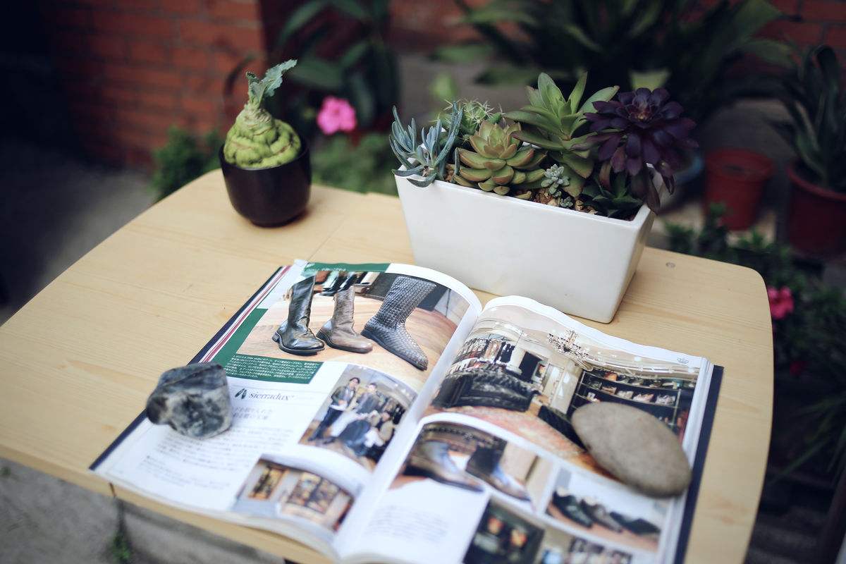 福建成人高考通過率