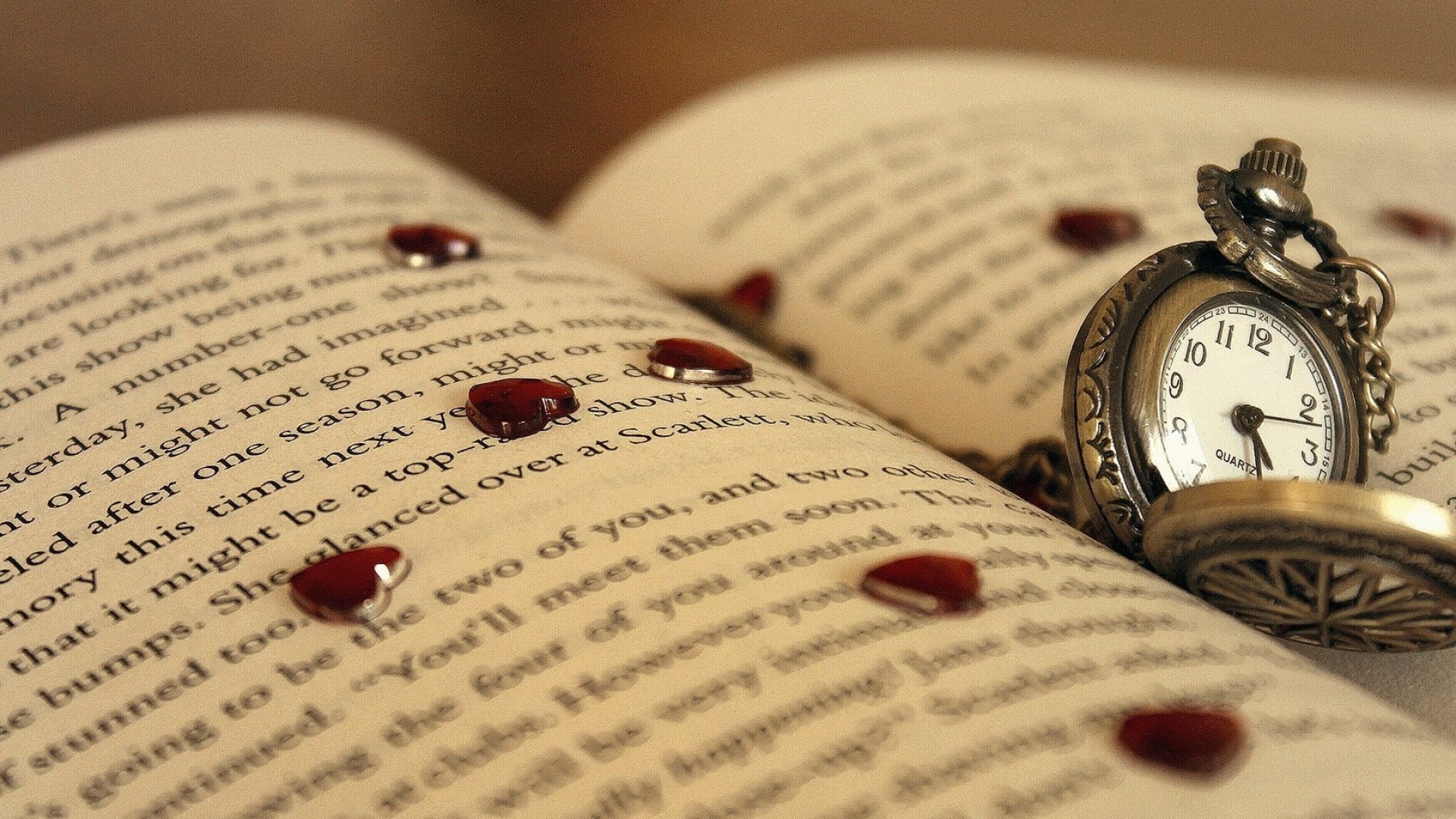 福建成人高考專業