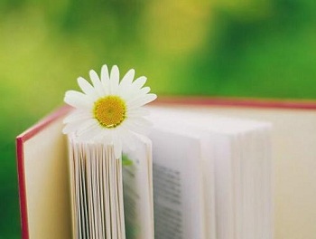 2020年福建成人高考業(yè)余和函授哪種更好?