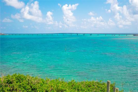 福建成考報考哪個專業比較好？