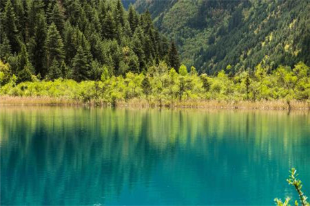 福建成考如何報考