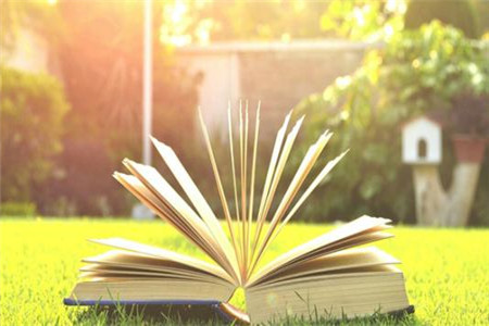 福建成人報(bào)名條件