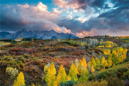 福建成人高考指南：關于考場上你必須要知道的事